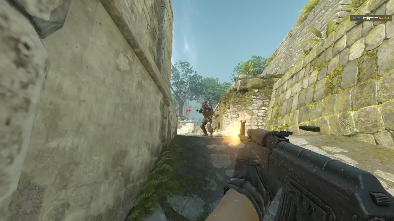 highlight